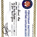 Resmi büyüt: certificate 1