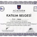 Resmi büyüt: certificate 5
