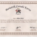 Resmi büyüt: certificate 1
