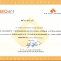 Resmi büyüt: certificate 11