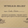 Resmi büyüt: certificate 7