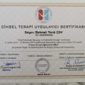 Resmi büyüt: certificate 3