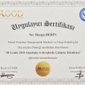 Resmi büyüt: certificate 13