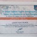 Resmi büyüt: certificate 1