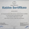 Resmi büyüt: certificate 4