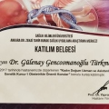 Resmi büyüt: certificate 11
