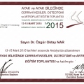 Resmi büyüt: certificate 3