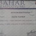 Resmi büyüt: certificate 5