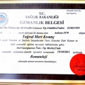 Resmi büyüt: certificate 3