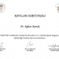 Resmi büyüt: certificate 3