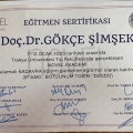 Resmi büyüt: certificate 11