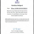 Resmi büyüt: certificate 1