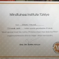 Resmi büyüt: certificate 3
