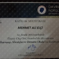 Resmi büyüt: certificate 27