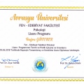 Resmi büyüt: certificate 8