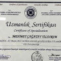 Resmi büyüt: certificate 5
