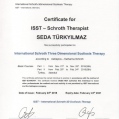 Resmi büyüt: certificate 2