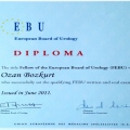 Resmi büyüt: certificate 2