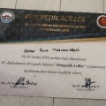 Resmi büyüt: certificate 17