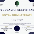 Resmi büyüt: certificate 2