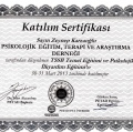 Resmi büyüt: certificate 6
