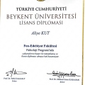 Resmi büyüt: certificate 4