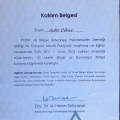 Resmi büyüt: certificate 4
