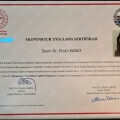 Resmi büyüt: certificate 1