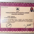 Resmi büyüt: certificate 8