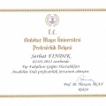 Resmi büyüt: certificate 8