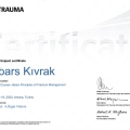 Resmi büyüt: certificate 18