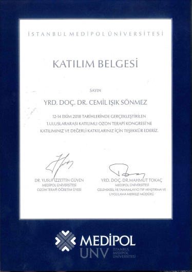 Cemil Işık Sönmez-15