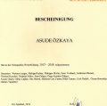 Resmi büyüt: certificate 3