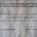 Resmi büyüt: certificate 4