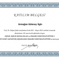 Resmi büyüt: certificate 5