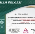 Resmi büyüt: certificate 6