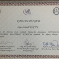 Resmi büyüt: certificate 8