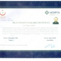 Resmi büyüt: certificate 4