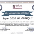 Resmi büyüt: certificate 7