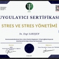 Resmi büyüt: certificate 3