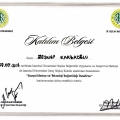 Resmi büyüt: certificate 26