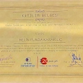 Resmi büyüt: certificate 7
