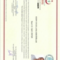 Resmi büyüt: certificate 2