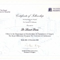 Resmi büyüt: certificate 1