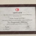 Resmi büyüt: certificate 5