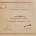 Resmi büyüt: certificate 9