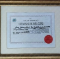 Resmi büyüt: certificate 1