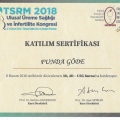 Resmi büyüt: certificate 2