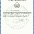 Resmi büyüt: certificate 2