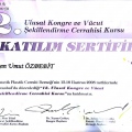 Resmi büyüt: certificate 6